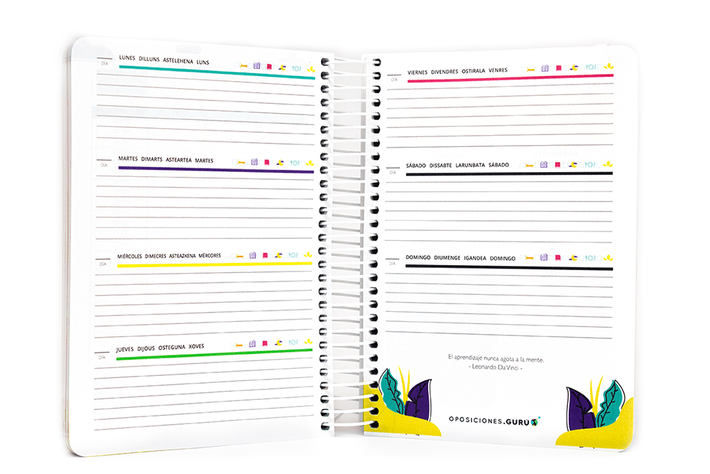 agenda-semana-vista